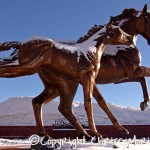Public Art horses sculpture parker station mainstreet town of parker co Public Art horses sculpture parker station mainstreet town of parker co