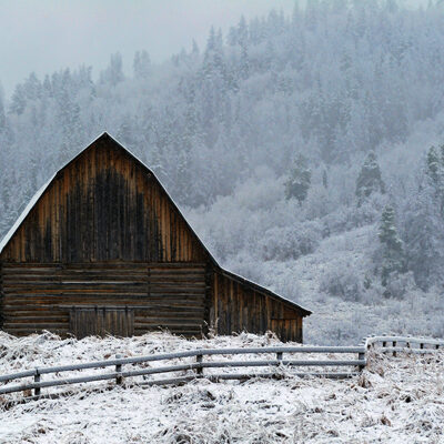 Steamboat CO Snow in Colorado High Country 10-26-11 Photo: Larry Pierce