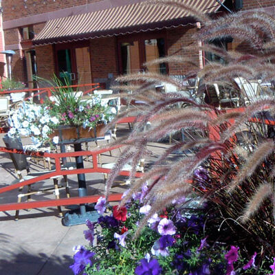 castle rock sienna courtyard restaurant colorado