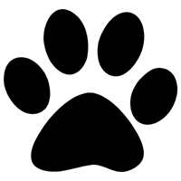 dog paw cat paw