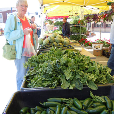 farmers market palazzi farms parker co