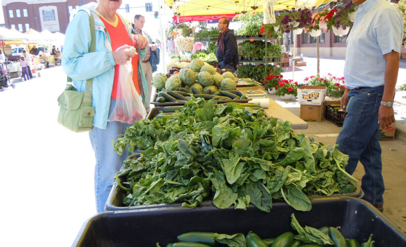 farmers market palazzi farms parker co