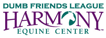 Dumb Friends League opens Harmony Equine Center Franktown CO