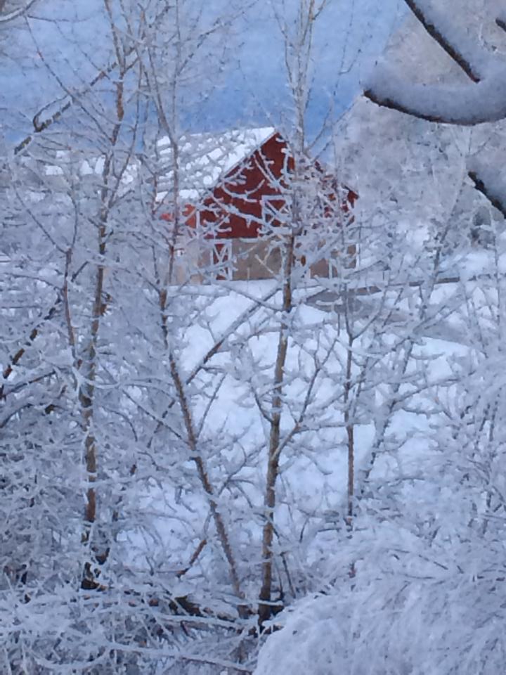 red barn surrounded by snow