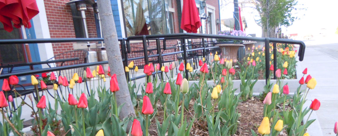 Tulip Fairy and Elf Festival on the Pearl Street Mall